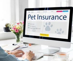 Pet Insurance Trends to Watch in the Next Decade