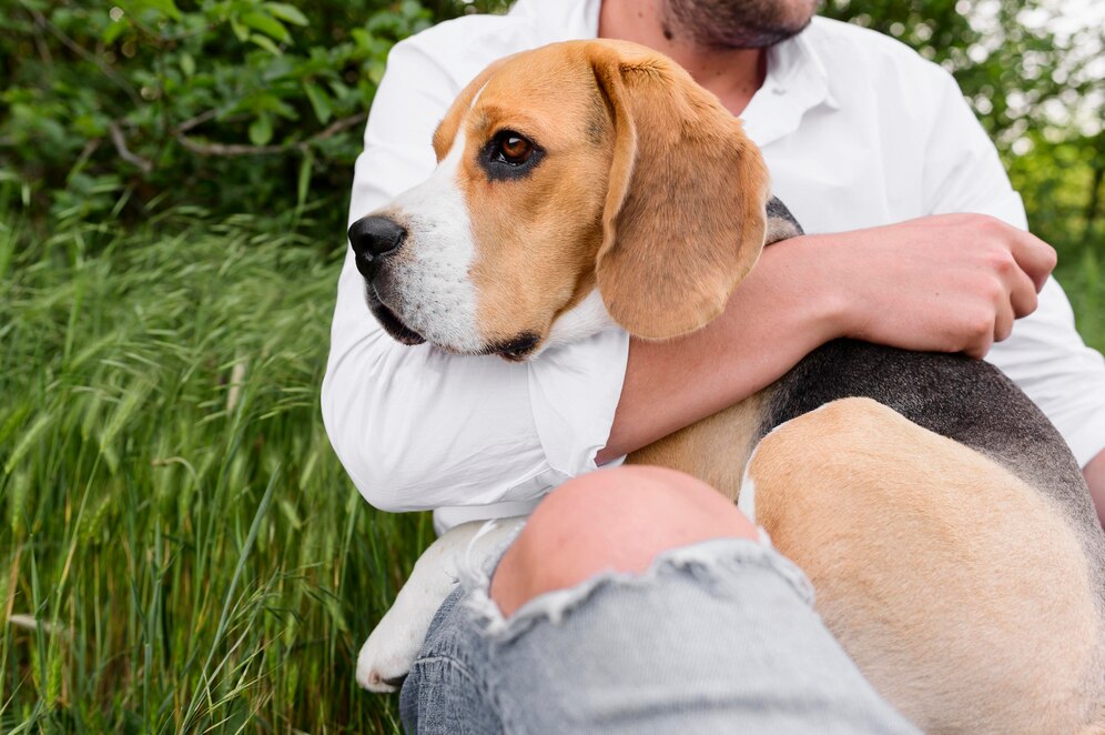 A man in a white shirt sits in grass, gently holding a beagle dog, both appearing calm and content in a serene outdoor setting.