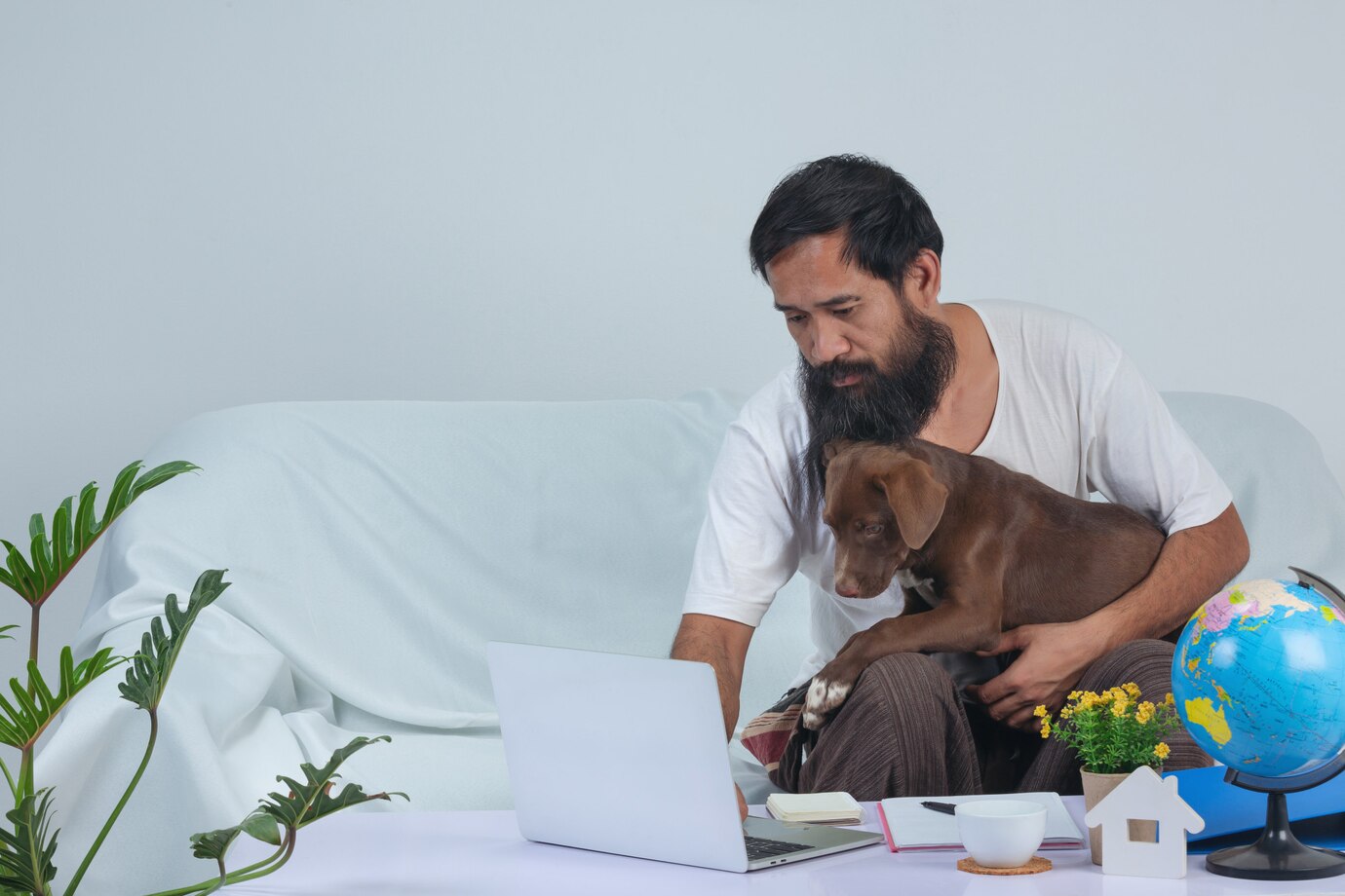 A person sitting on a couch with a brown dog on their lap, working on a laptop surrounded by plants and a globe.