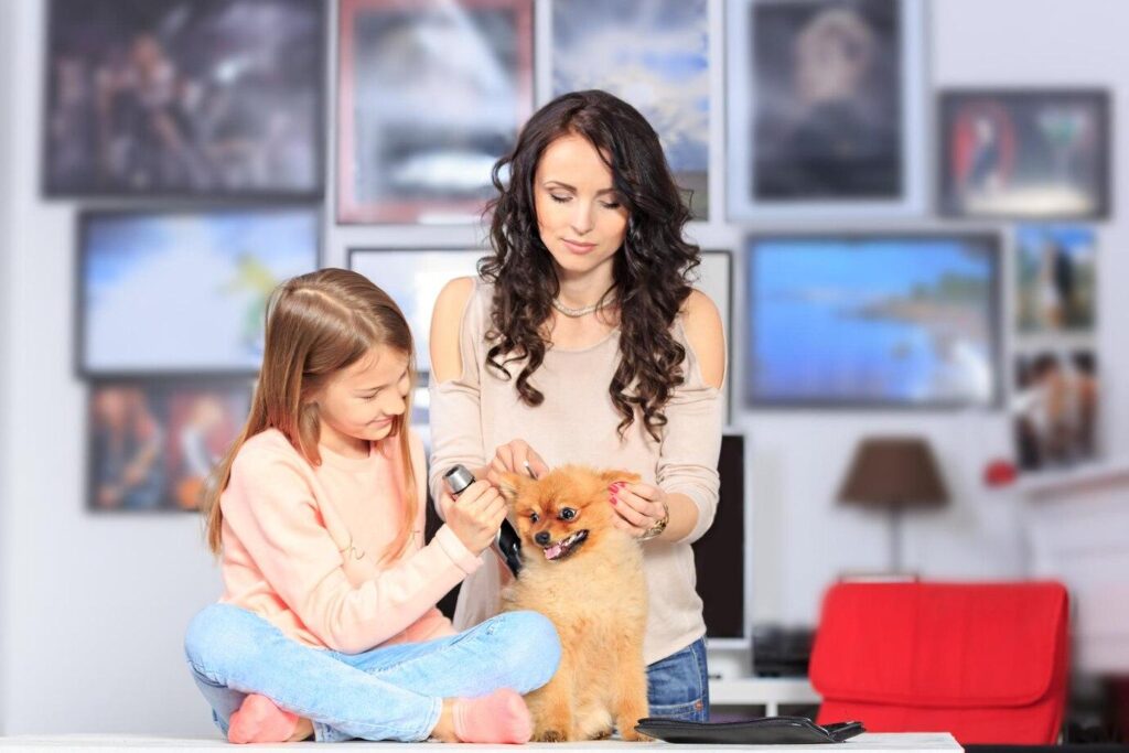 A woman and a girl groom a fluffy Pomeranian dog in a cozy room adorned with various artwork and a red couch.
