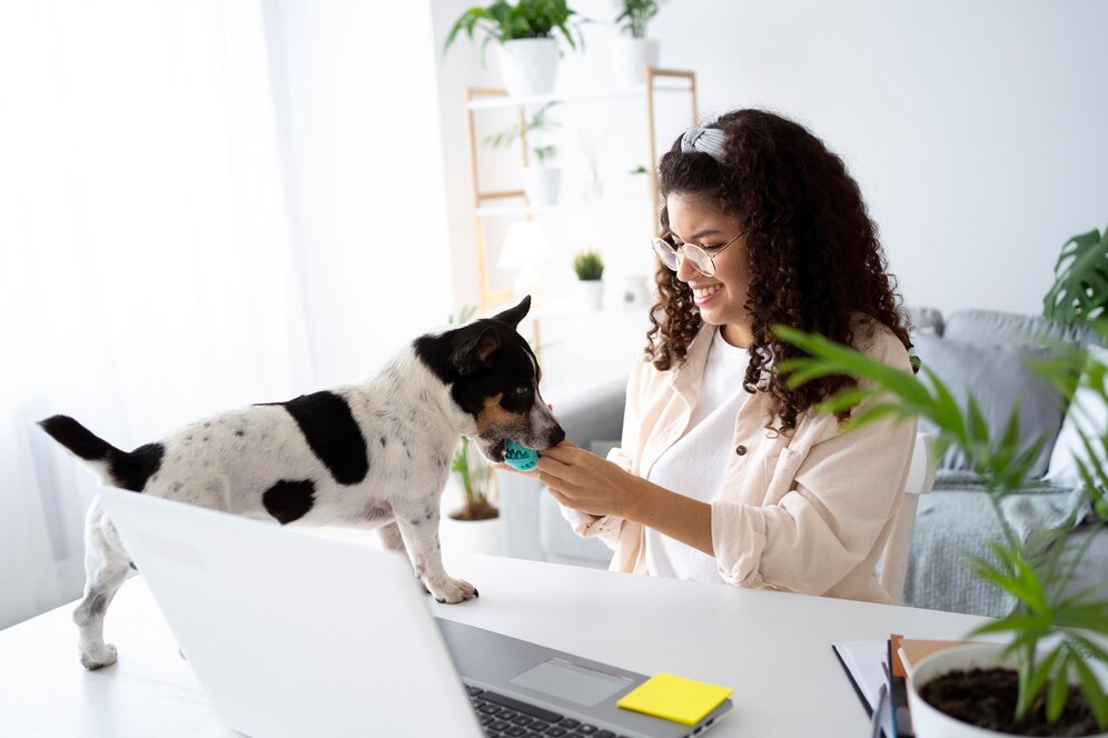 A dog interacts playfully with a person at a desk, surrounded by houseplants and a laptop in a bright, modern workspace.