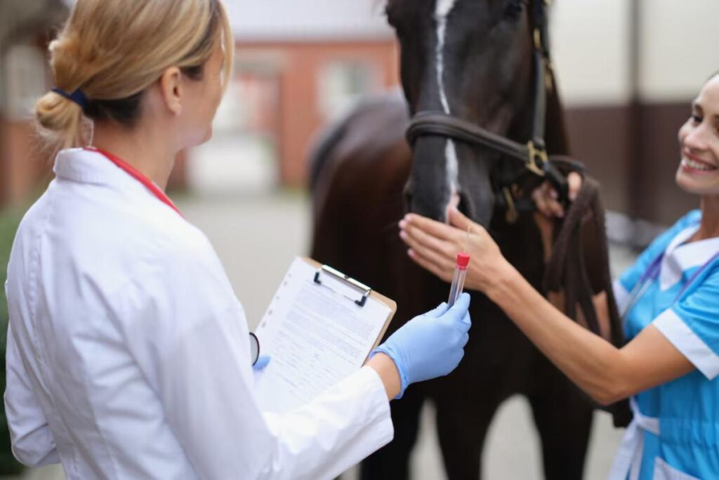 A veterinarian examines a horse, holding a test tube while another person gently interacts with the animal.