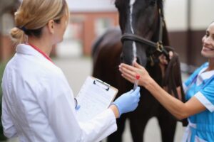 A veterinarian examines a horse, holding a test tube while another person gently interacts with the animal.