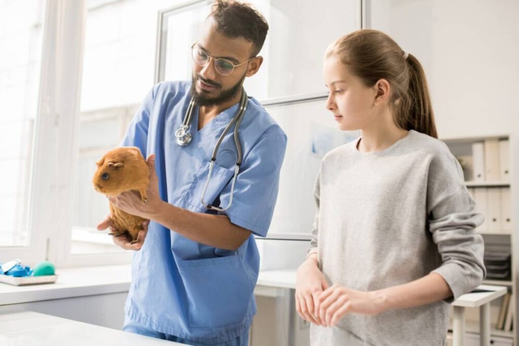 A veterinarian in blue scrubs holds a brown guinea pig, while a girl in a gray sweater looks on, both in a bright clinic.