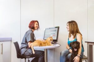 A cat rests on a table in a veterinary clinic while a woman sits beside a dog, discussing with a veterinarian at a computer.
