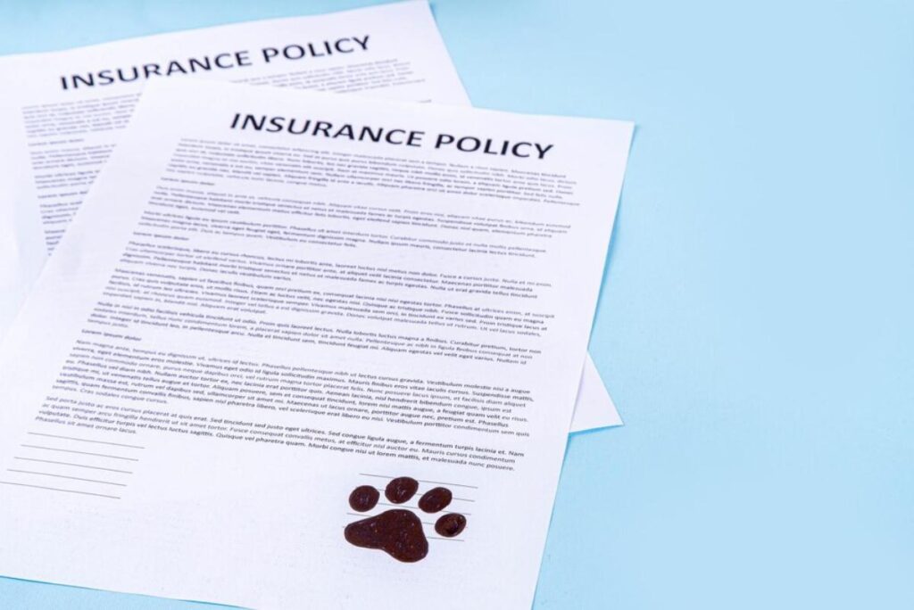 A close-up of two printed insurance policy documents on a blue background, one featuring a stamped brown paw print.