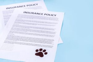 A close-up of two printed insurance policy documents on a blue background, one featuring a stamped brown paw print.