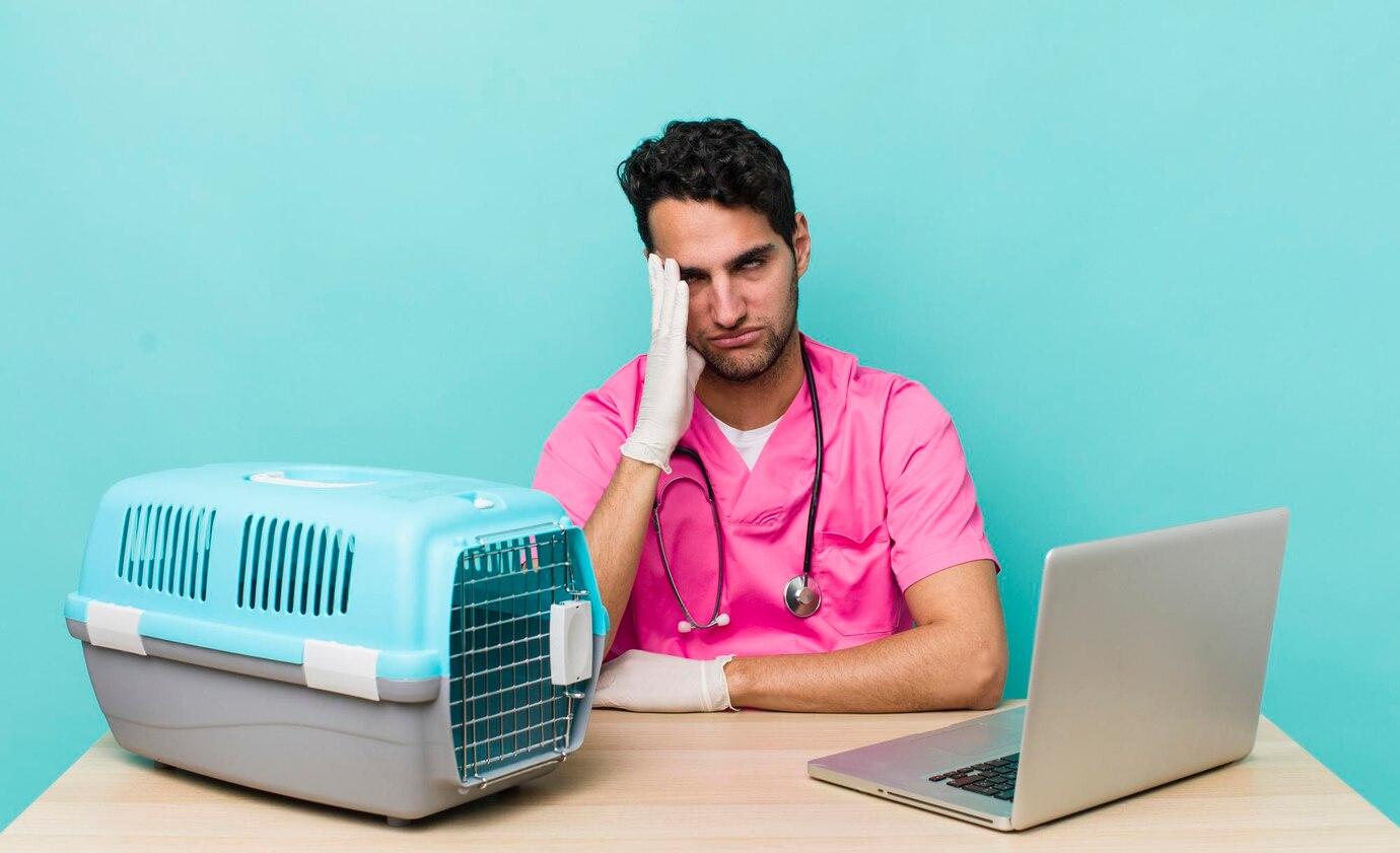A veterinarian in pink scrubs sits at a desk with a laptop and a blue pet carrier against a teal background.