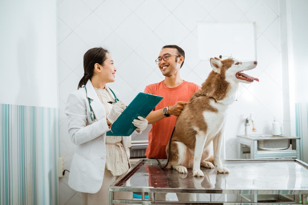 A veterinarian in a white coat and gloves checks a clipboard while a man holds a Siberian Husky on an examination table in a clinic.