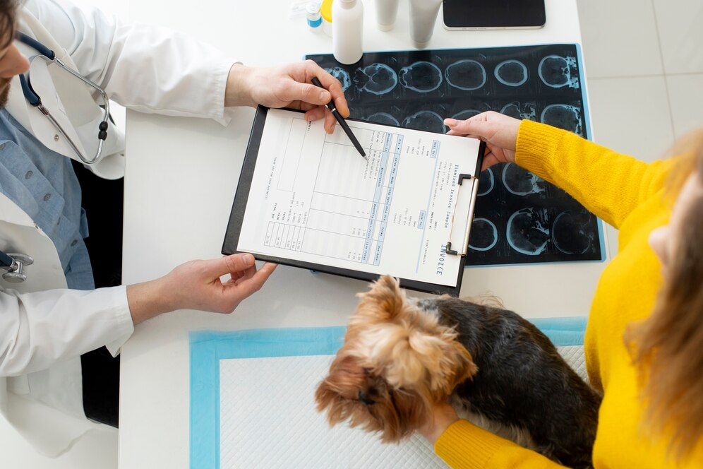 A veterinarian discusses a report with a pet owner, holding a small dog, while reviewing medical X-rays on a table.