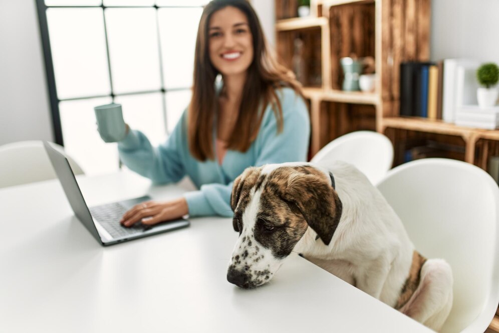 A woman in a blue sweater sits at a table with a laptop, while a curious dog rests its head on the surface, gazing at her.