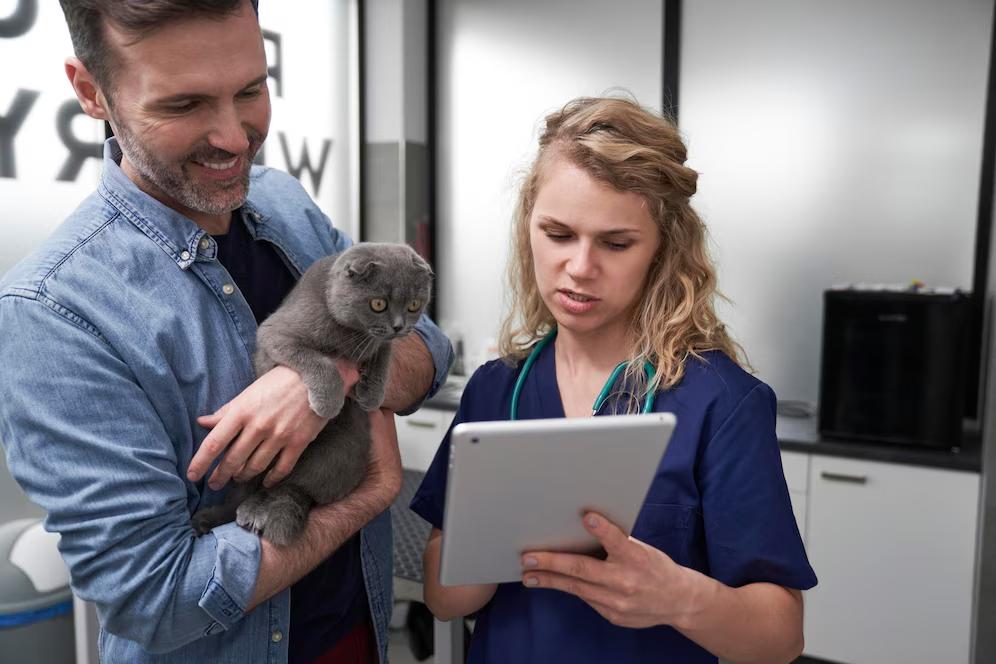 A person holds a grey cat while another person examines a tablet. The setting appears to be a veterinary clinic.