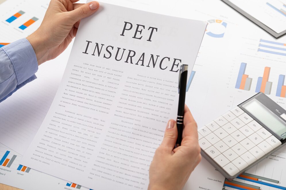 A person holding a document titled PET INSURANCE over a desk with charts, graphs, and a calculator.