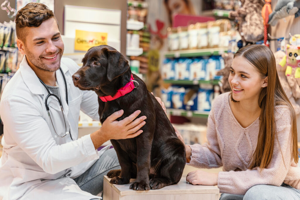 A brown Labrador sits on a table in a pet store, with a veterinarian and a young woman interacting with it.