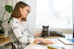 A person sits at a wooden desk with a laptop and notebook while gently petting a gray cat lounging nearby. Sunlight filters through curtains.