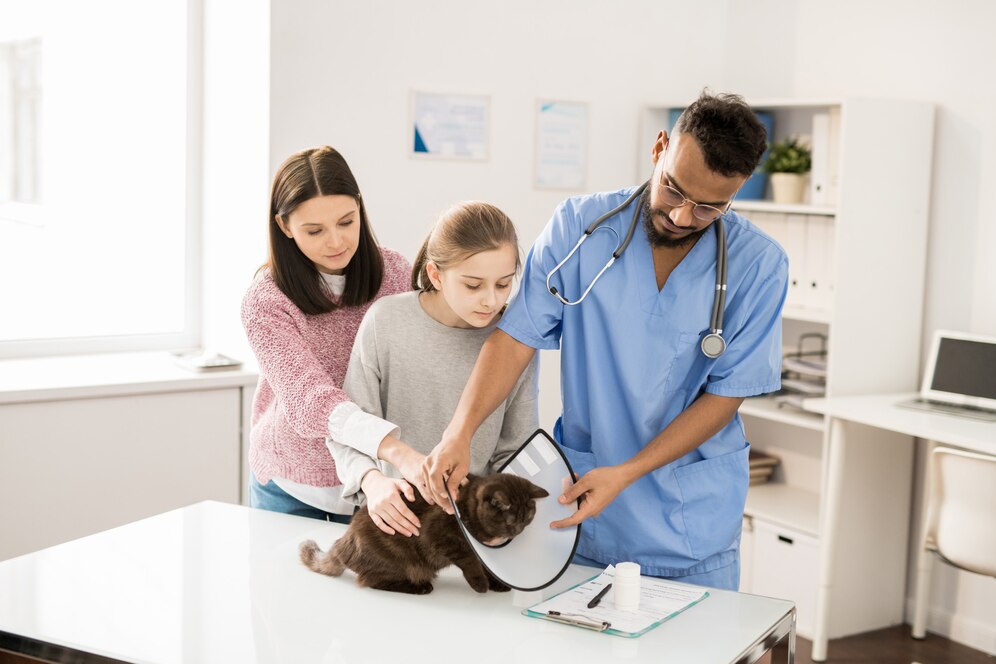 A veterinarian helping a young girl and her mother place a cone on a cat during a check-up at a veterinary clinic.