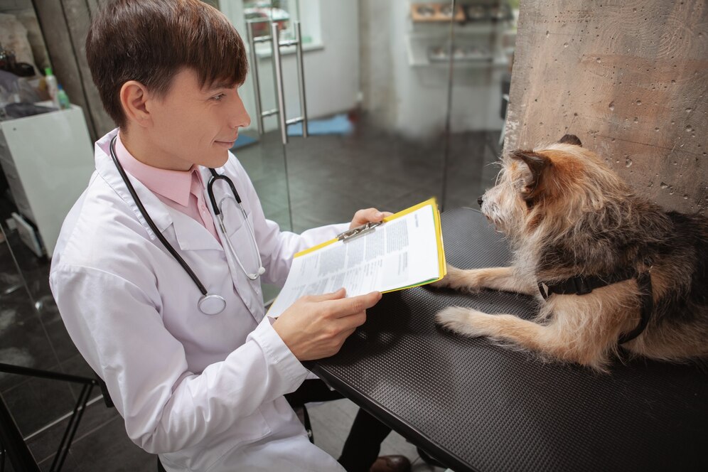 A veterinarian in a white coat reviews a document while sitting in front of a small dog on a black table.