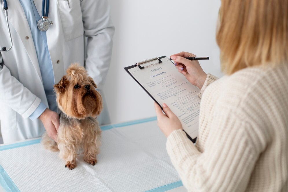 A veterinarian in a white coat examines a small dog while a woman fills out paperwork at the vet's office.