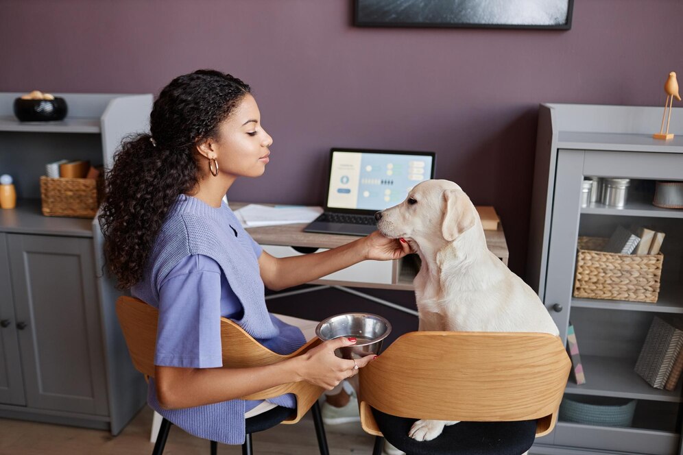 A woman sits at a desk, gently petting her yellow Labrador retriever while holding a bowl, with a laptop in front of her.