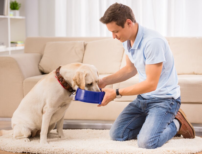 A young man kneels on a rug, offering a blue bowl to a yellow Labrador dog sitting patiently beside him in a cozy living room.