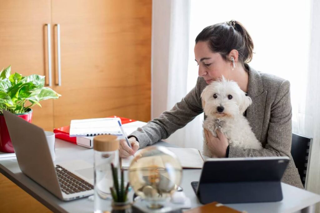 A woman sits at a desk with a laptop and notebook, holding a small white dog and surrounded by greenery and office supplies.