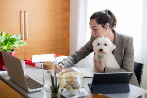 A woman sits at a desk with a laptop and notebook, holding a small white dog and surrounded by greenery and office supplies.