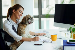 Tips to Speed Up Your Pet Insurance Reimbursement