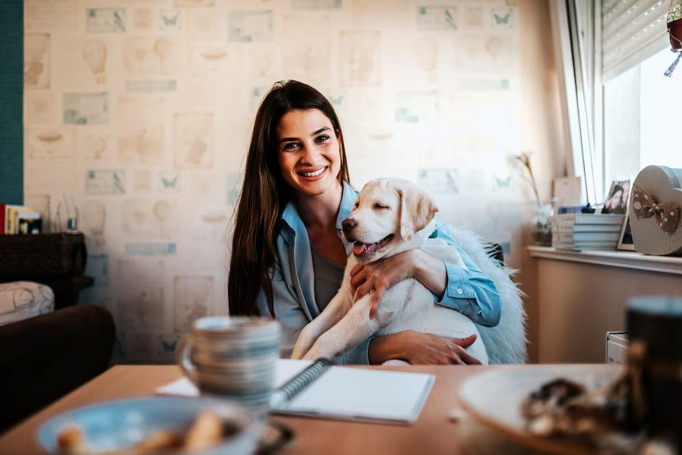 A person sitting at a table holds a friendly yellow Labrador puppy, surrounded by a cozy interior with light-colored decor and books.