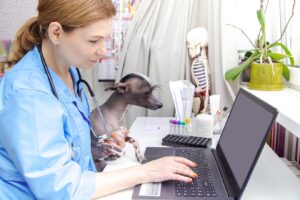 A veterinarian in scrubs uses a laptop while holding a small dog in a well-lit office, surrounded by medical supplies and plants.
