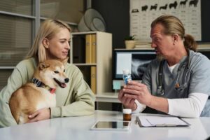 A veterinarian shows a bottle of pills to a woman holding a Shiba Inu in a clinic setting, with an x-ray on the screen behind them.
