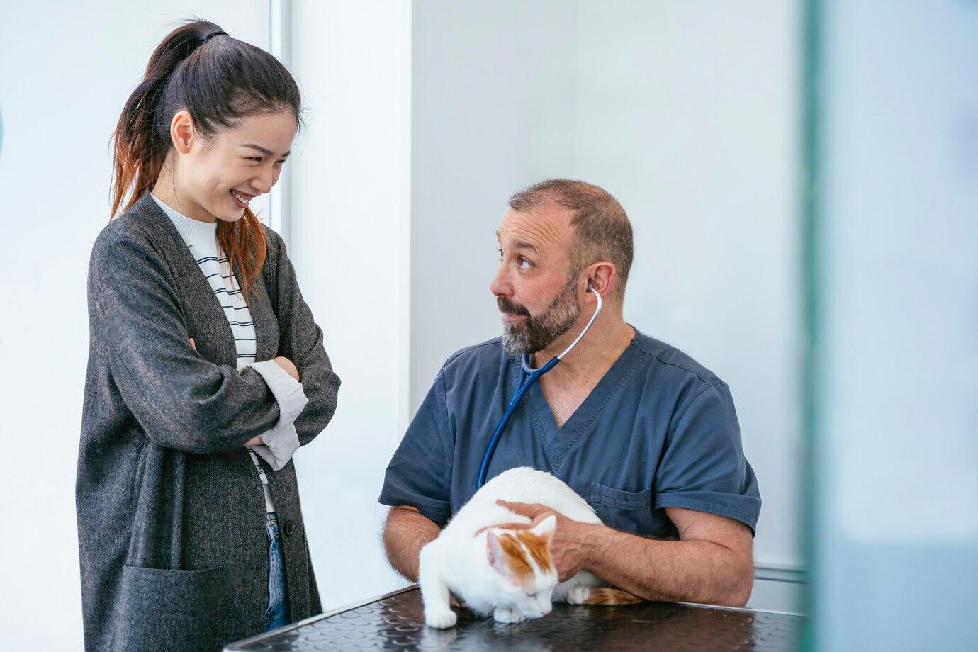 A veterinarian examines a white cat while its owner stands nearby, looking concerned in a veterinary clinic setting.