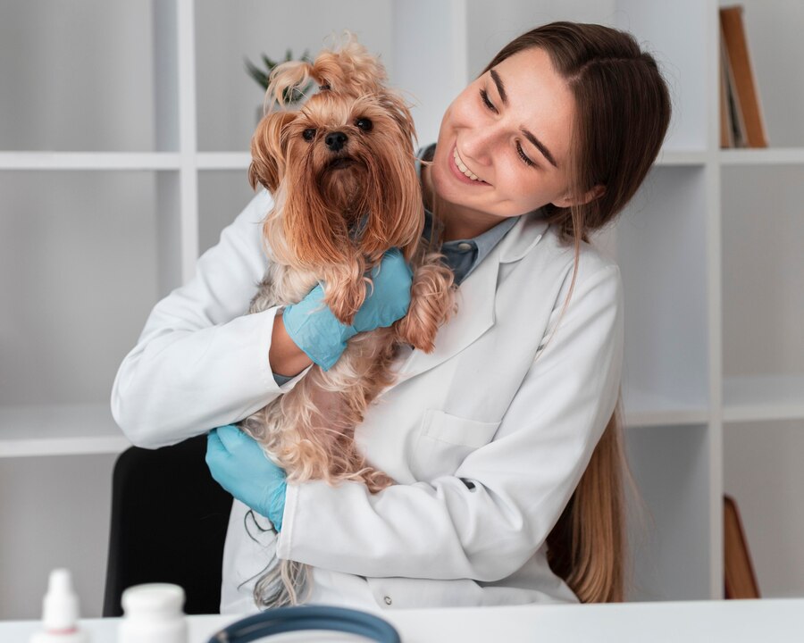 A veterinarian in a white coat holds a fluffy Yorkshire Terrier, both appearing calm in a well-lit clinic setting.