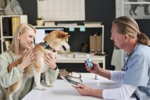 A woman holds a Shiba Inu in a veterinary office, while a veterinarian shows her a bottle of medication and holds a tablet.